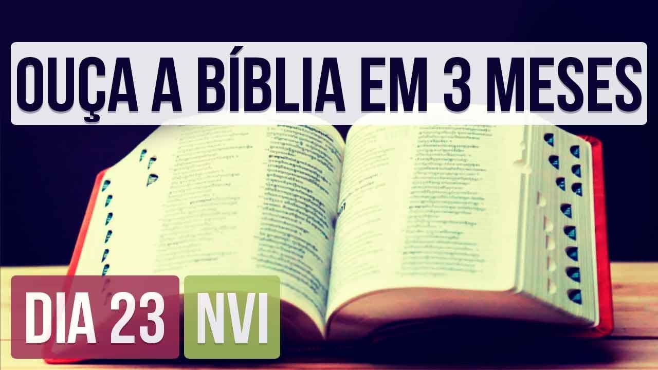 BÍBLIA EM ÁUDIO COMPLETA EM 3 MESES #23 • 1 Samuel 28 A 2 Samuel 9 ...