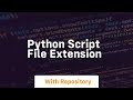 python script file extension