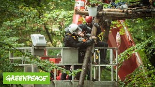 Es ist traurig den Hambacher Wald so zu sehen