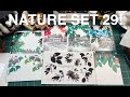 Stampscapes 101: Video 808 NATURE SET 29 TESTS intro