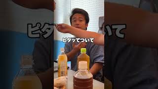 大嫌いな熱さまシートをシルクに突然投げつけたらキレたwww #shorts