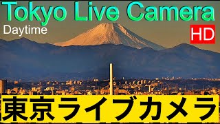 【LIVE】TOKYO LIVE CAMERA.  Mt'Fuji from Tokyo 東京ライブカメラ 富士山 紅富士 赤富士 東京からの富士山 带来好运的红富士 红富士带来好运 （不定期配信）