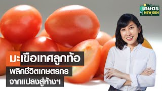 มะเขือเทศลูกท้อ พลิกชีวิตเกษตรกรจากแปลงสู่ห้าง | เกษตรนิวเจน | 31/12/65 (FULL)