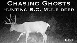 Hunting B.C. Mule deer / Chasing Ghosts ep.1