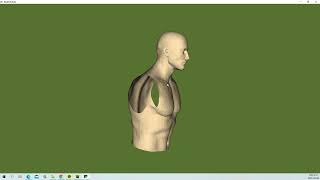 VTK Example - ReadPolyData - python
