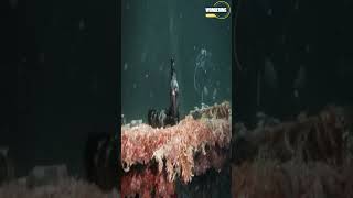 Mysterious Things Found In The Ocean (Underwater Ghost ship).