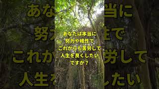 ※もう一生お金に困らない。私が本当に人生大逆転した姓名判断。沖縄てんてん先生の画数鑑定は本物でした。#金運上昇 #運気アップ #開運