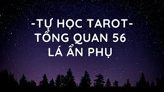 TỰ HỌC TAROT - TỔNG QUAN 56 LÁ ẨN PHỤ