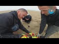 rescuers nearly give up on entangled seal