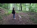 national park in the harz herzberg. lower saxony. ukrainians in germany.