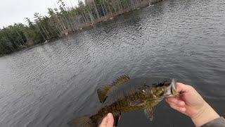 Smallmouth jerkbait fishing in Maine