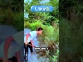 modern farming and agricultural village life satisfying viral foryou shots fyp 1million