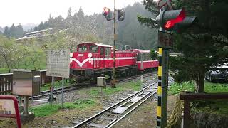 阿里山祝山線小火車-沼平車站