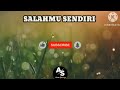 SALAHMU SENDIRI - CUT RANI || ( LIRIK ) LAGU POP MELAYU