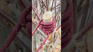 Incredible knot for anchoring #adventure #camping #climbing #knot #diy