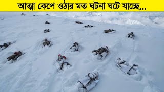 কি হয়ে যাচ্ছে এসব পৃথিবীতে! এসব আদৌ কিভাবে সম্ভব ?