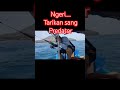 ngeri...tarikan yellowfin tuna 40 kg