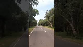 முல்லைத்தீவு-வவுனியா வீதியின் அழகு | The beauty of the Mullaitivu-Vavunia road