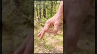 8 Top Secret Military Hand Signals!