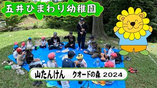 11　五井ひまわり幼稚園　「やまたんけん」2024