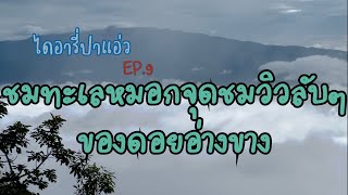 ชมทะเลหมอกจุดชมวิวลับๆ ของดอยอ่างขาง  ไดอารี่ปาแอ่ว ep.9