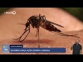 governo lança ação contra alta da dengue