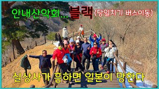 [천년송] 지리산 뱀사골 와운마을 먹여살리는 천년송 트래킹 / 실상사 사찰이 흥하면 일본이 망한다 (2025-2-22)