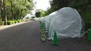 鶴舞公園散歩　2024年10月28日