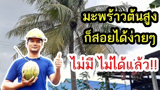 DIY ไม้สอยมะพร้าวต้นสูง แบบใหม่ สอยง่ายปลอดภัย