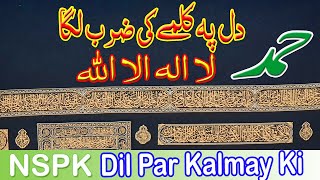 Hamd : Dil Par Kalmay Ki Zarb Laga LA ILHA ILLALLAH By Qari Ghulam Abbas urdu Lyrics | NSPK ​