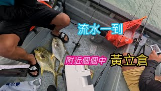 [流記釣魚#02]流浮山馬口竿2.5號絲中黃立倉 手感正到爆炸 回歸大海 黑沙開始入季 流浮山四匹仔十五匹 #香港釣魚 #fishing #艇釣 #釣魚