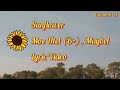 Moe Htet (B+) - Sunflower Ft. Maybel ( Lyric Video)