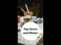 How to topdress and water