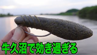 【バス釣り】豚バスを攻略せよ！デプス「カバースキャット」牛久沼で再び炸裂！ #バス釣り