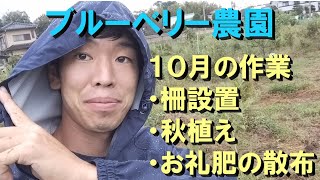 ブルーベリー農園　10月の作業の様子