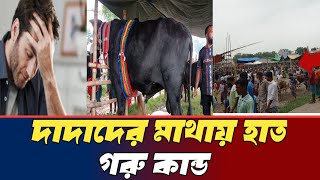 ইন্ডিয়ান দাদা দের মাথায় হাত! ছেংগারচর গরুর হাটে.....