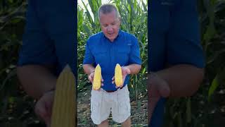 Gunther Kreps \u0026 Importance of Mitigating Stress | @RendLakeCollegeYouTube Trials w/@syngenta