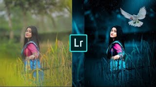 Lightroom Blue And Bird Effect Photo Editing Tutorial | Lightroom Background Colour Change Tricks