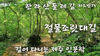 하르방TV 제102회 한라산둘레길 절물조릿대길을 걷다.