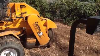 Carlton stump grinder 2500-4