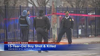 Teen boy shot, killed near Chicago high school: police