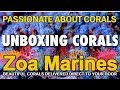 Coral Unboxing from Zoa Marines