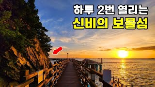 모세의 기적! 하루 두 번 바닷길 열리는 보물섬 12km 트레킹코스 | 대중교통 당일치기 여행 | 외국보다 더 멋진 서해안 섬트레킹