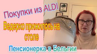 Что можно купить в ALDI на 45€ для пенсионерки🚴‍♀️#belgium #еда