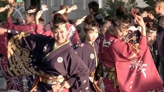 舞華　ドリーム夜さ来い祭り 2016