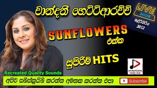 චාන්දනී හෙට්ටිආරච්චි,CHANDANI HETTIARACHCHI WITH SUNFLOWERS පැරණි සන්ෆ්ලවර් LIVE RECREATED SOUND