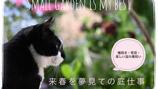 10月11月　春を夢見ての育苗や楽しい溢れ種拾い🌱秋の和バラ　2024春画像　シニア猫さんの暖房対策🐈