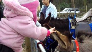 107 0406 Mar 11 Meeting the Donkeys moo