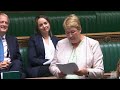 Ann Davies AS / MP - Araith forwynol / Maiden speech