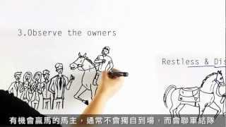 揀馬四步曲 Four Steps to Picking a Winning Horse